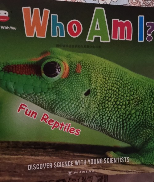 who am i fun reptiles