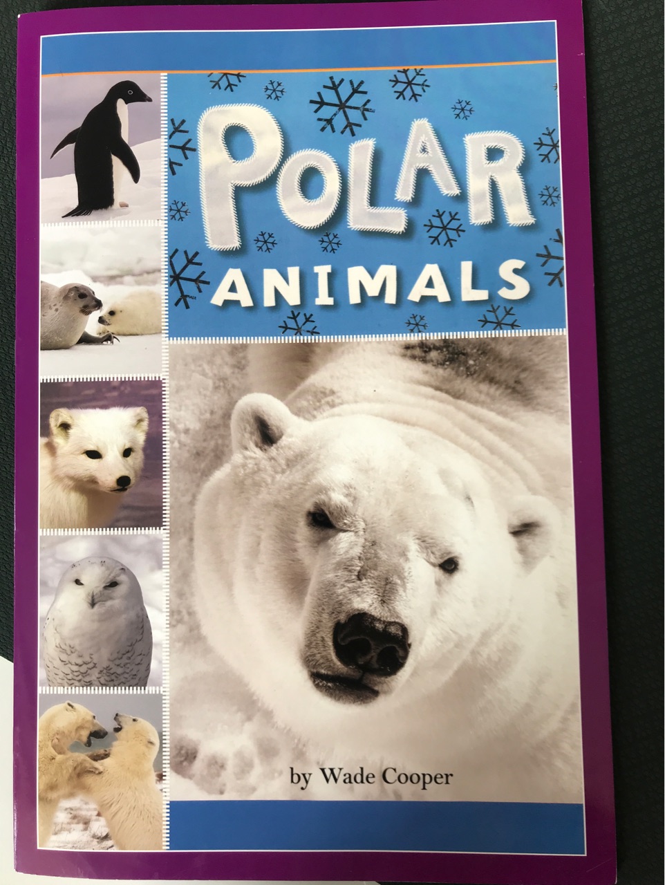 Polar Animals