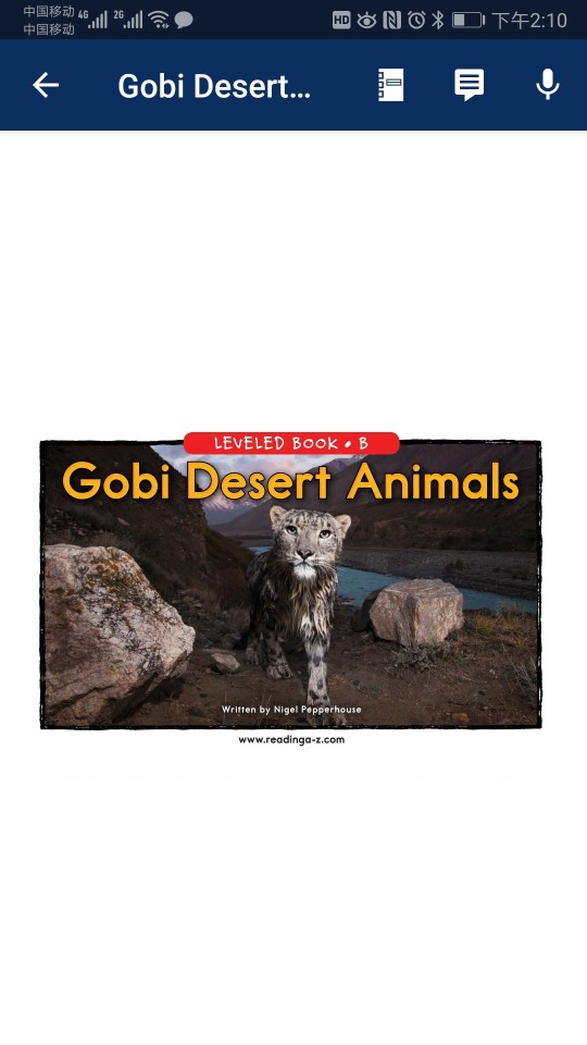 Gobi Desert Animals