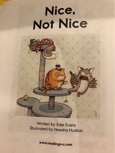 Nice not nice