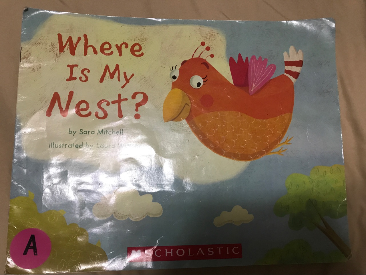 where is my nest