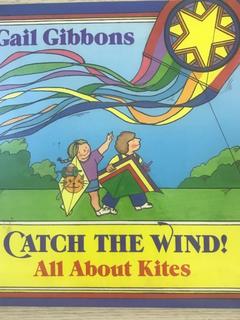 Catch the wind! All about kites