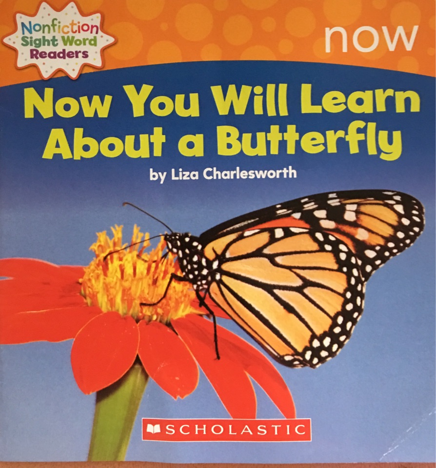 Now You Will Learn About a Butterfly