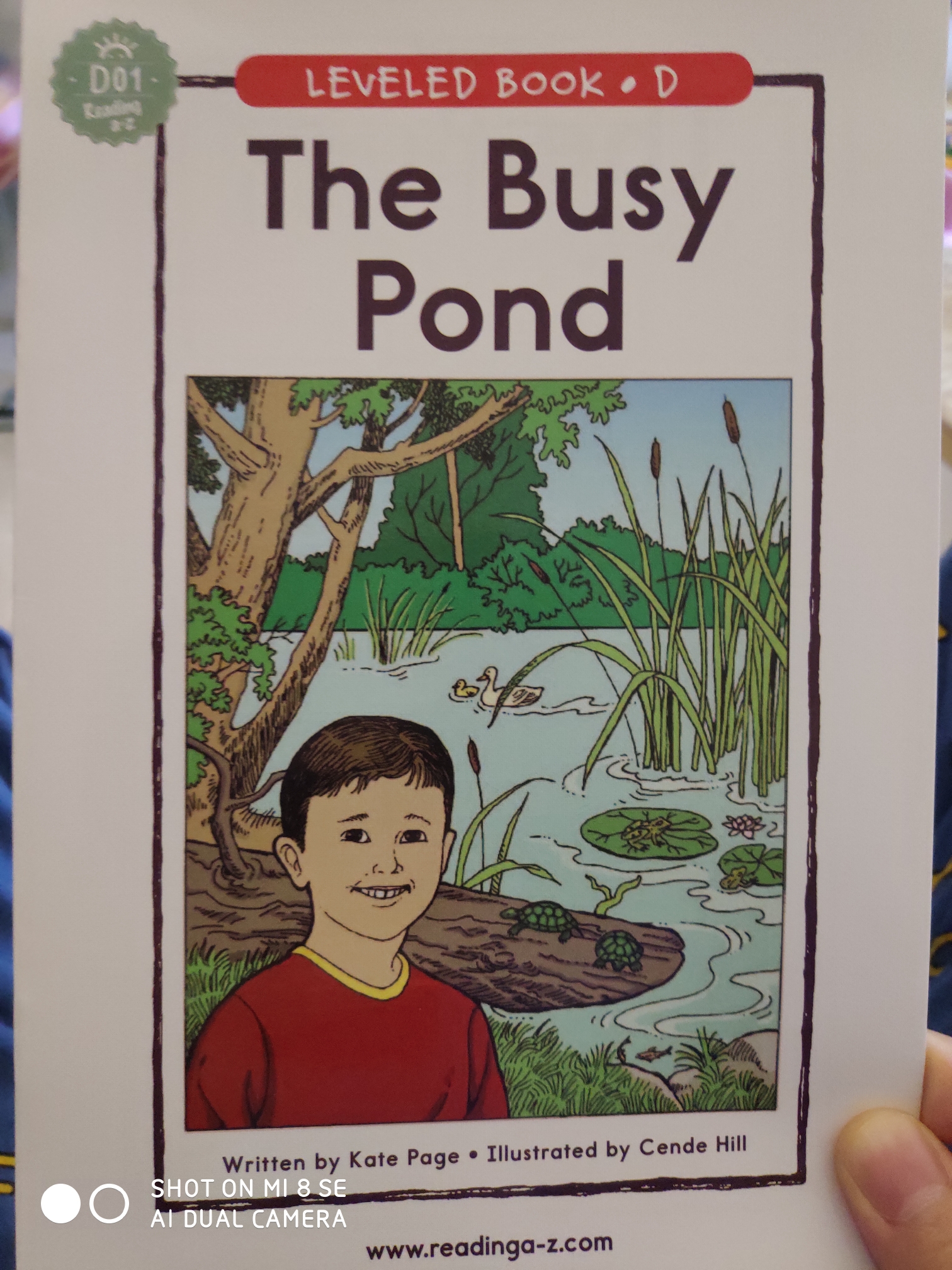 the busy Pond