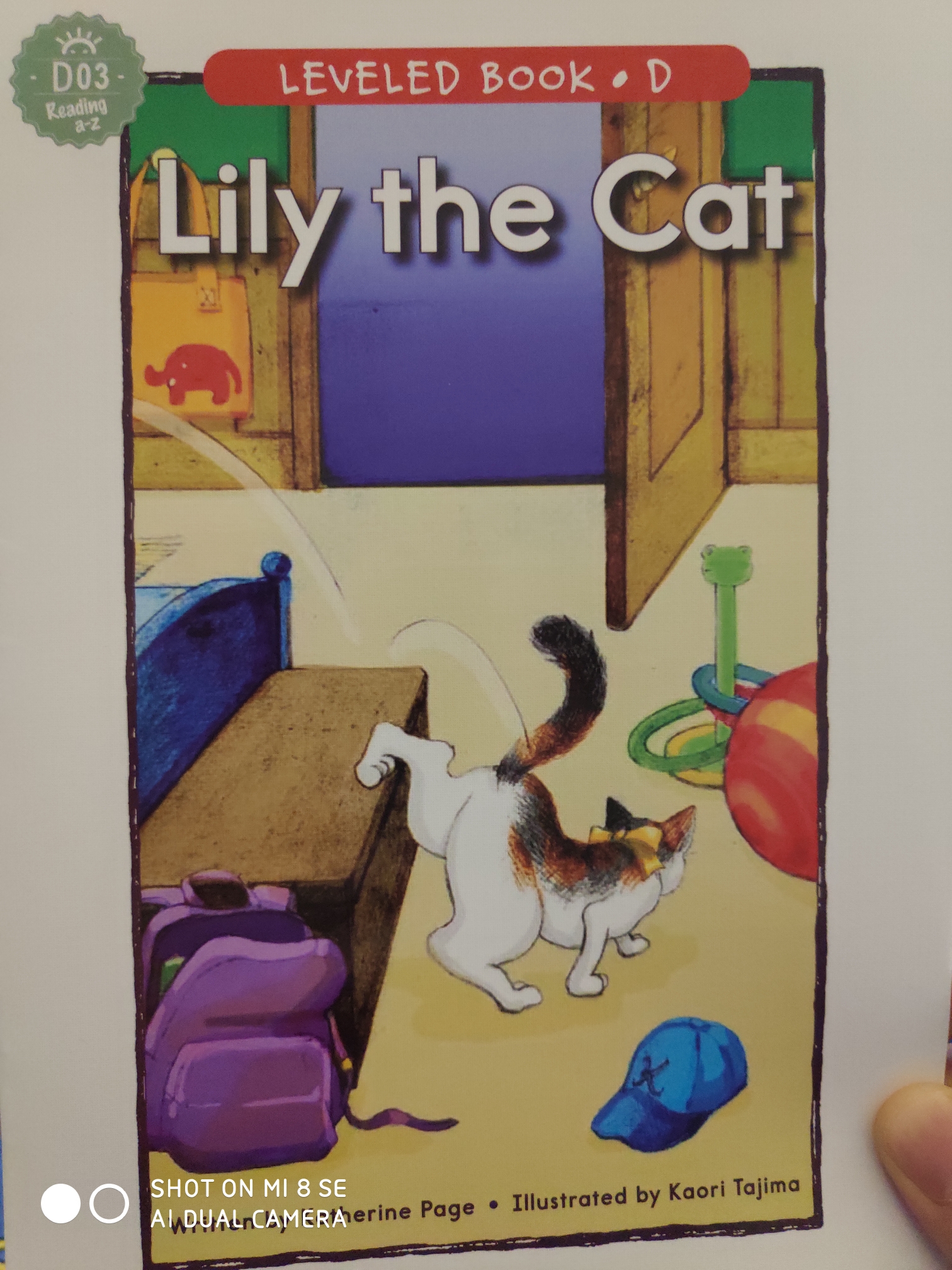 Lily the cat