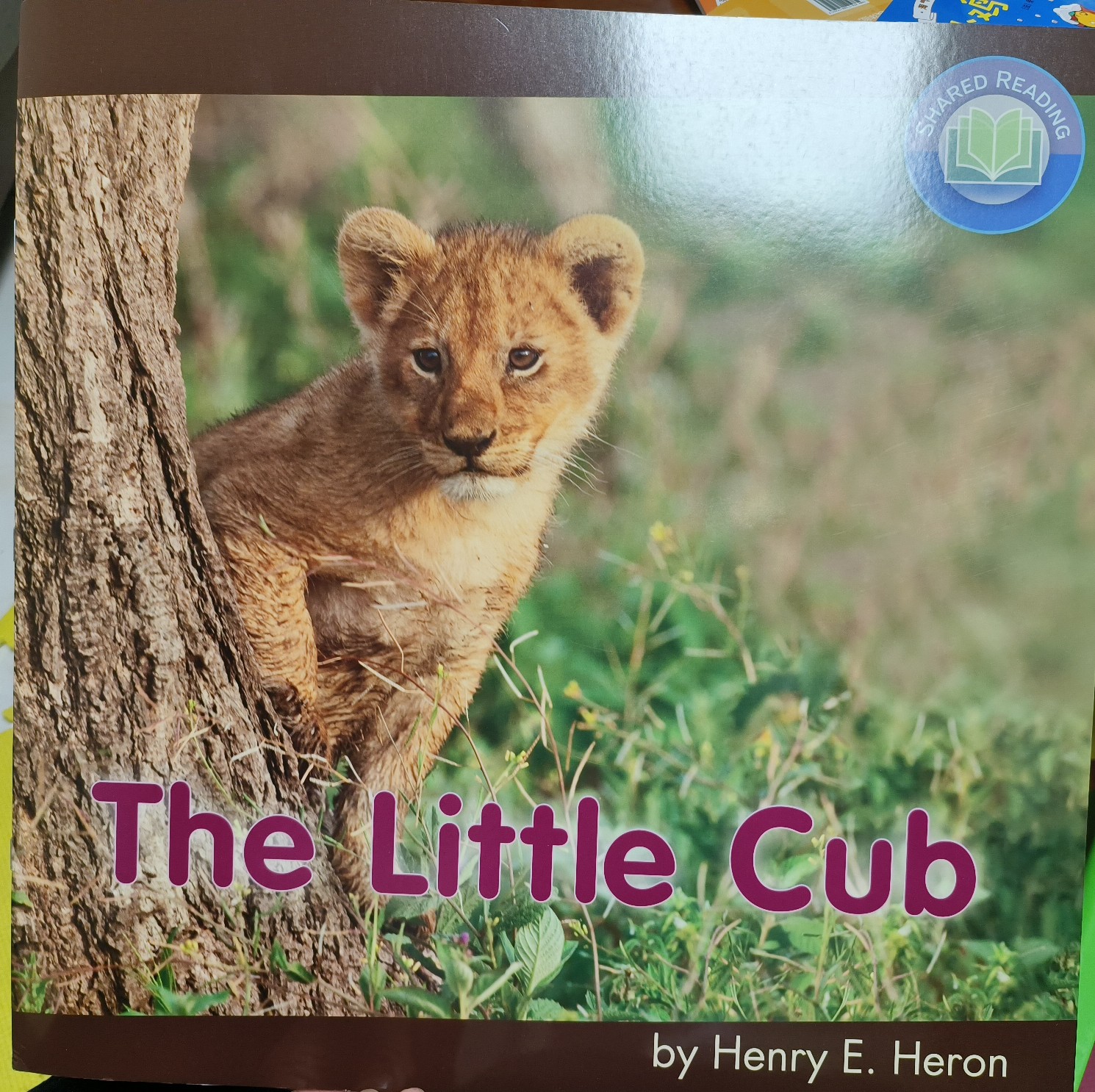 The Little Cub