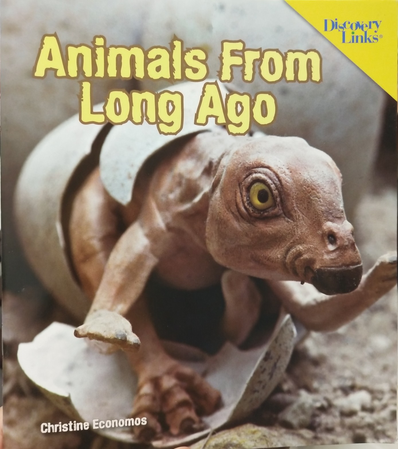 Animals from Long Ago