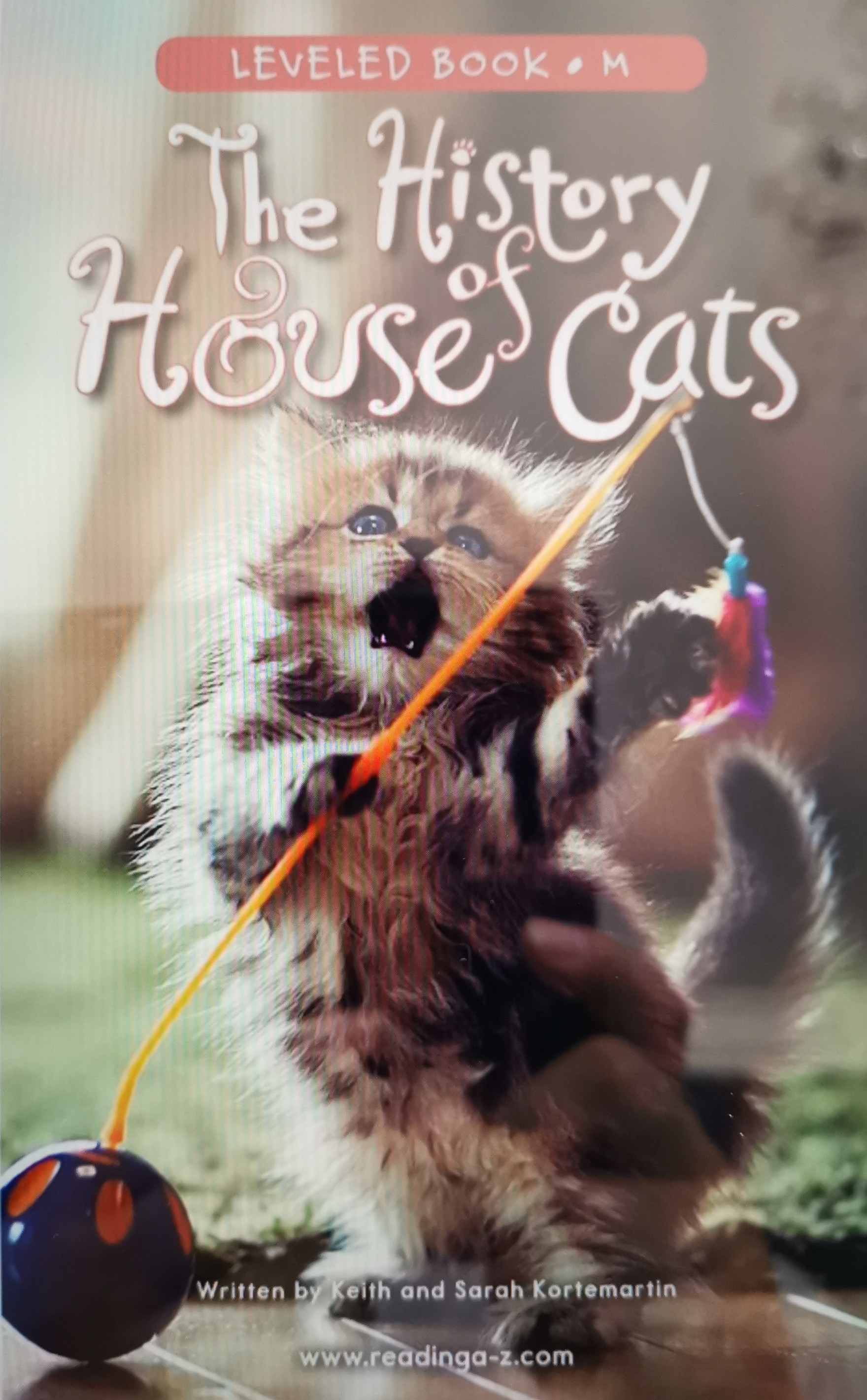 RAZ M ~ The History of House Cats