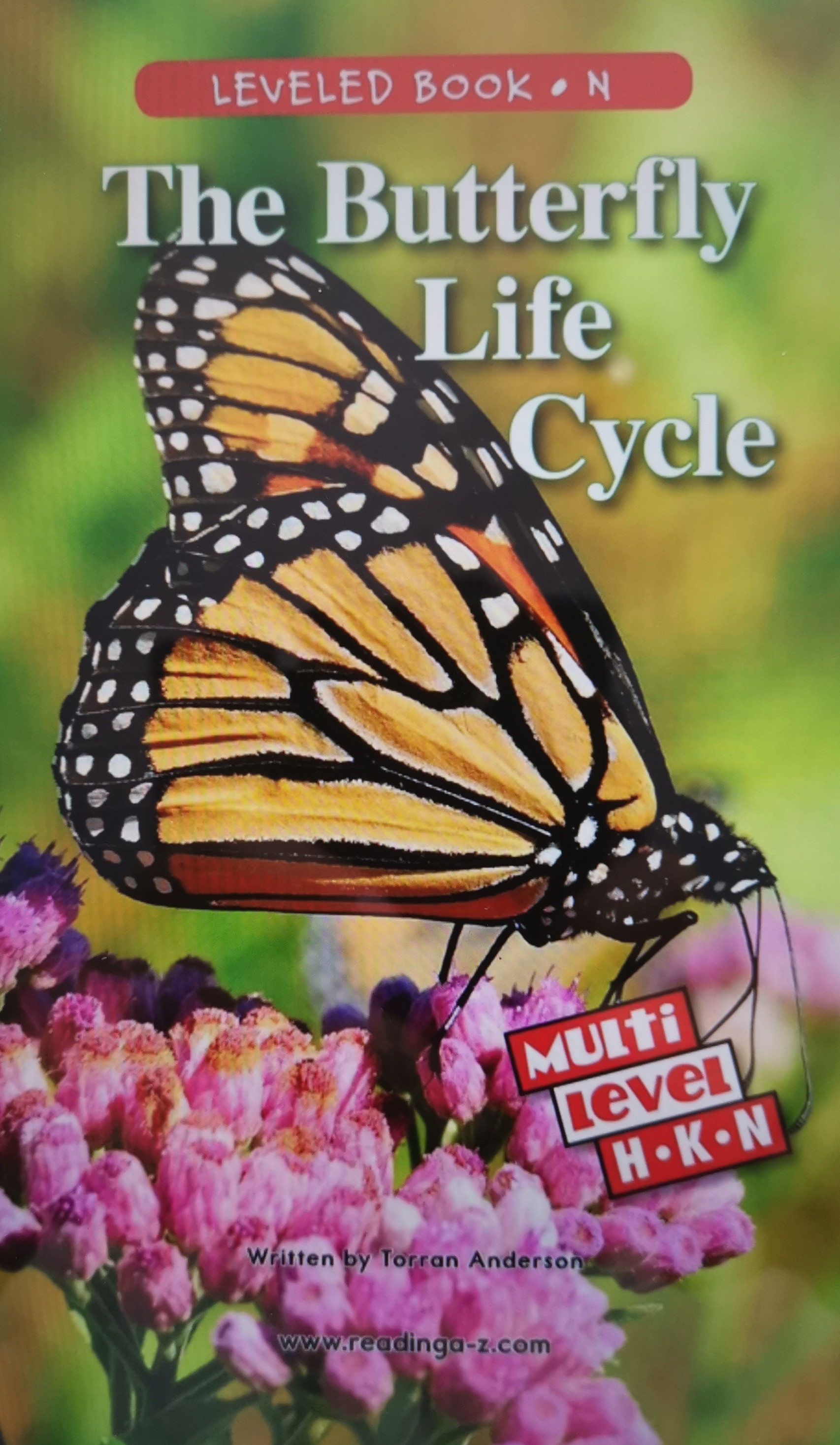 The Butterfly Life Cycle (RAZ N)