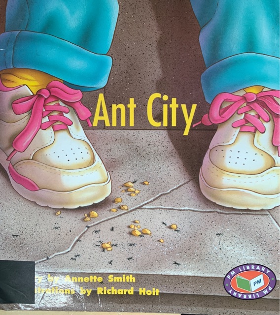 Ant City PM Set C Turquoise