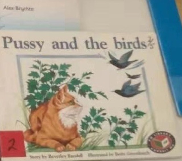 PM Red A Pussy and the birds