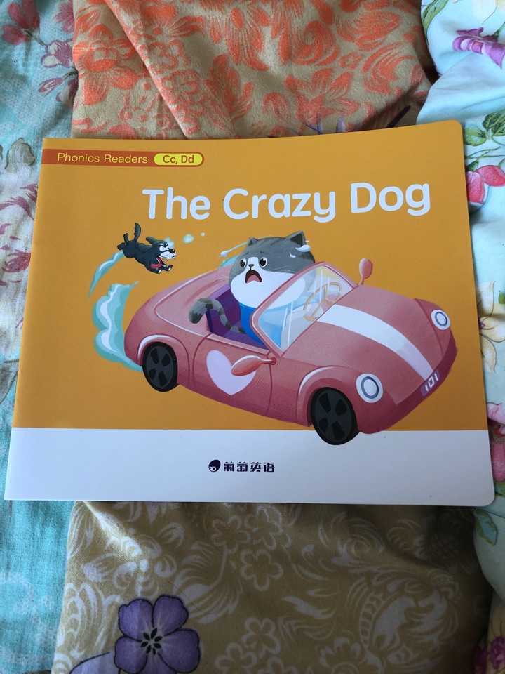 the crazy dog