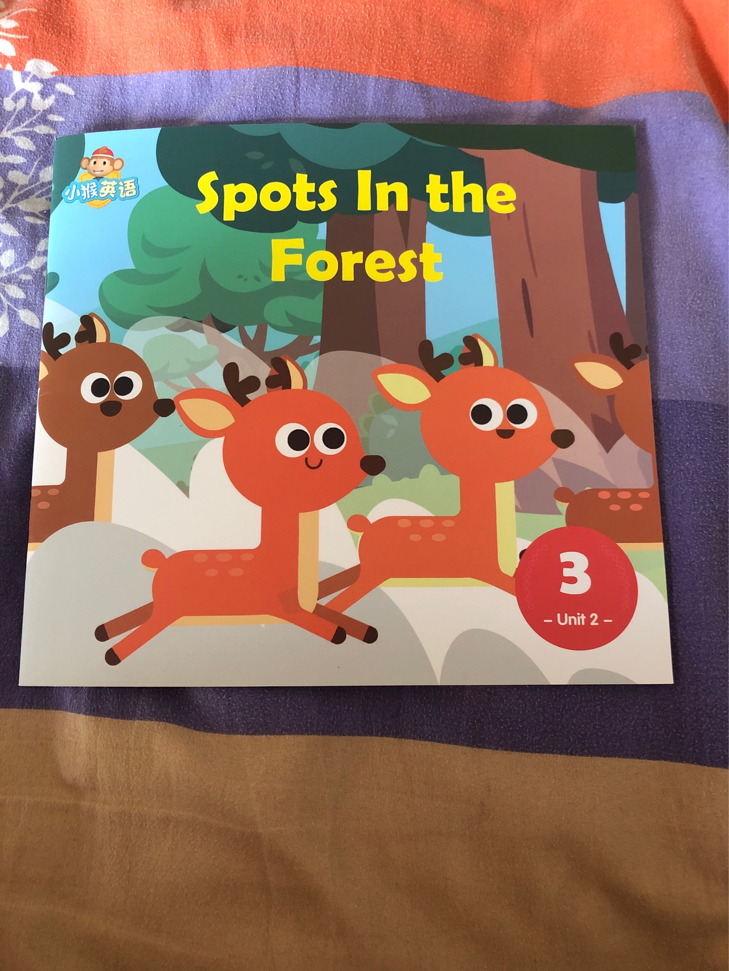 spots in the forest