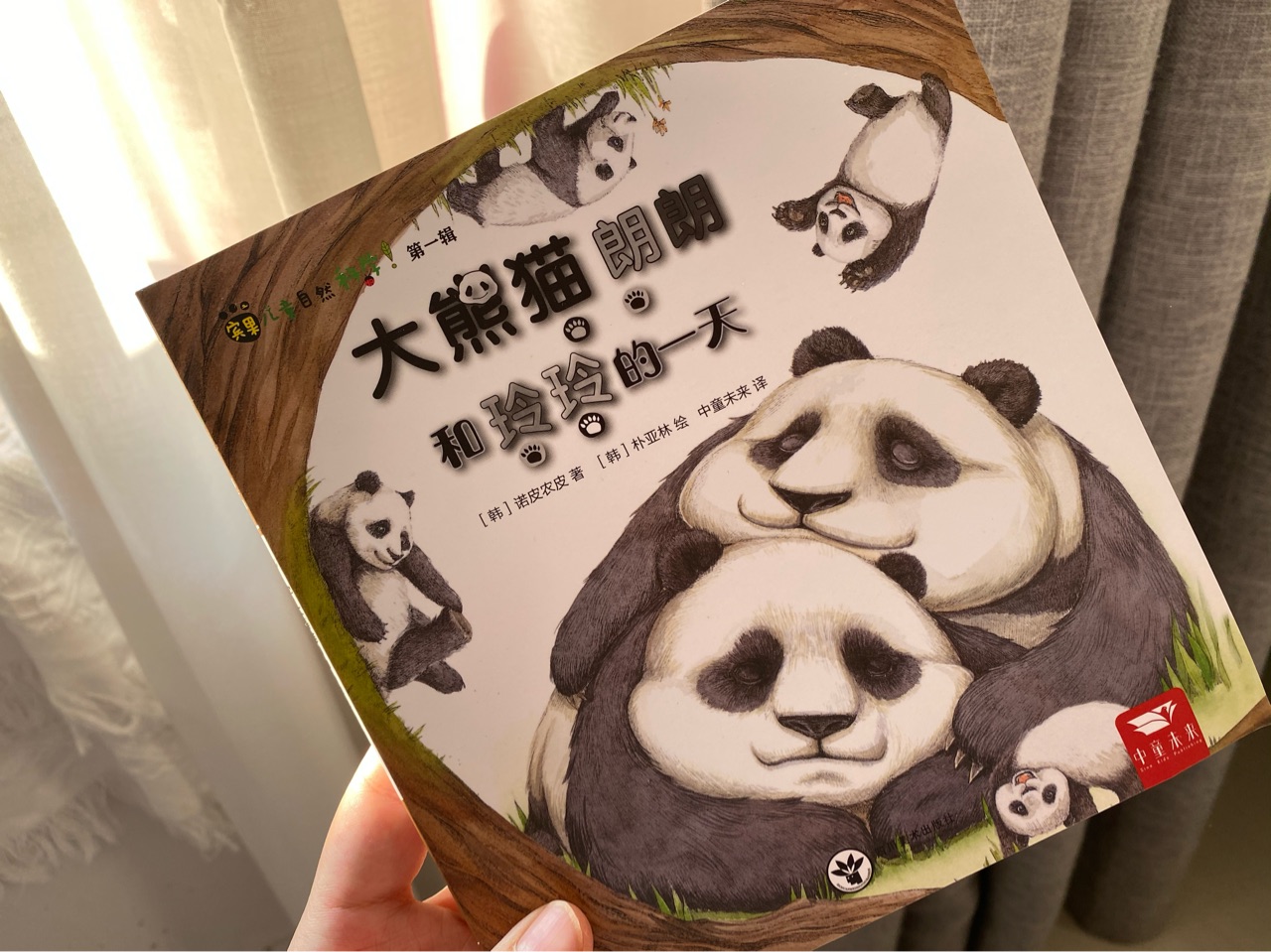 大熊貓郎朗和玲玲的一天