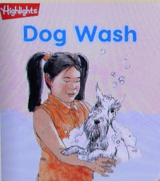 Dog Wash