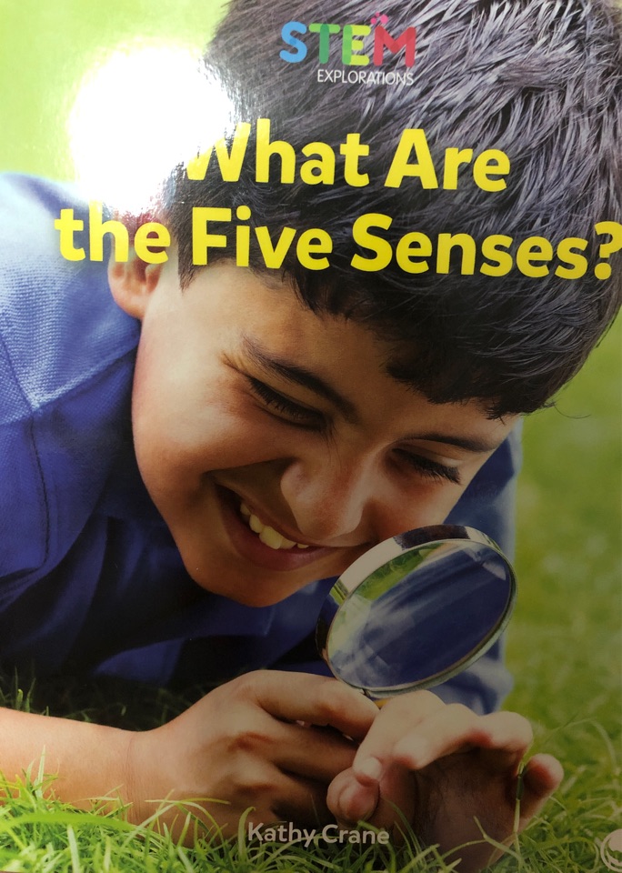 what are the five senses?