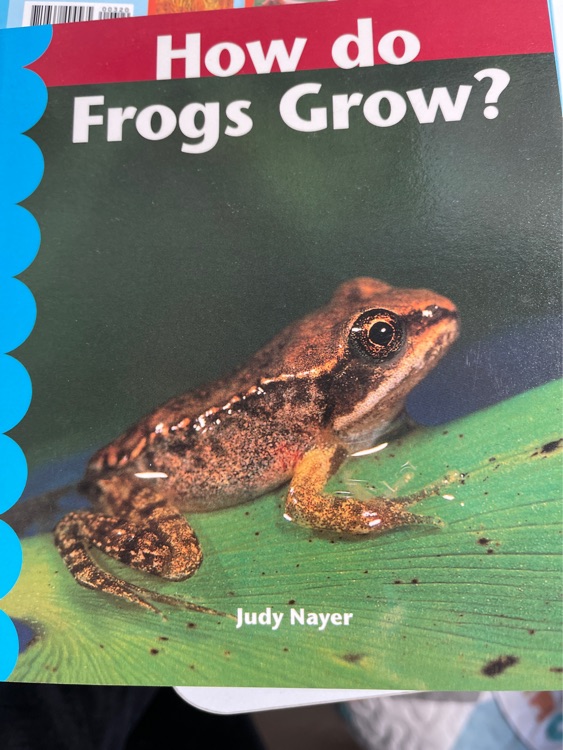 How do frogs grow?