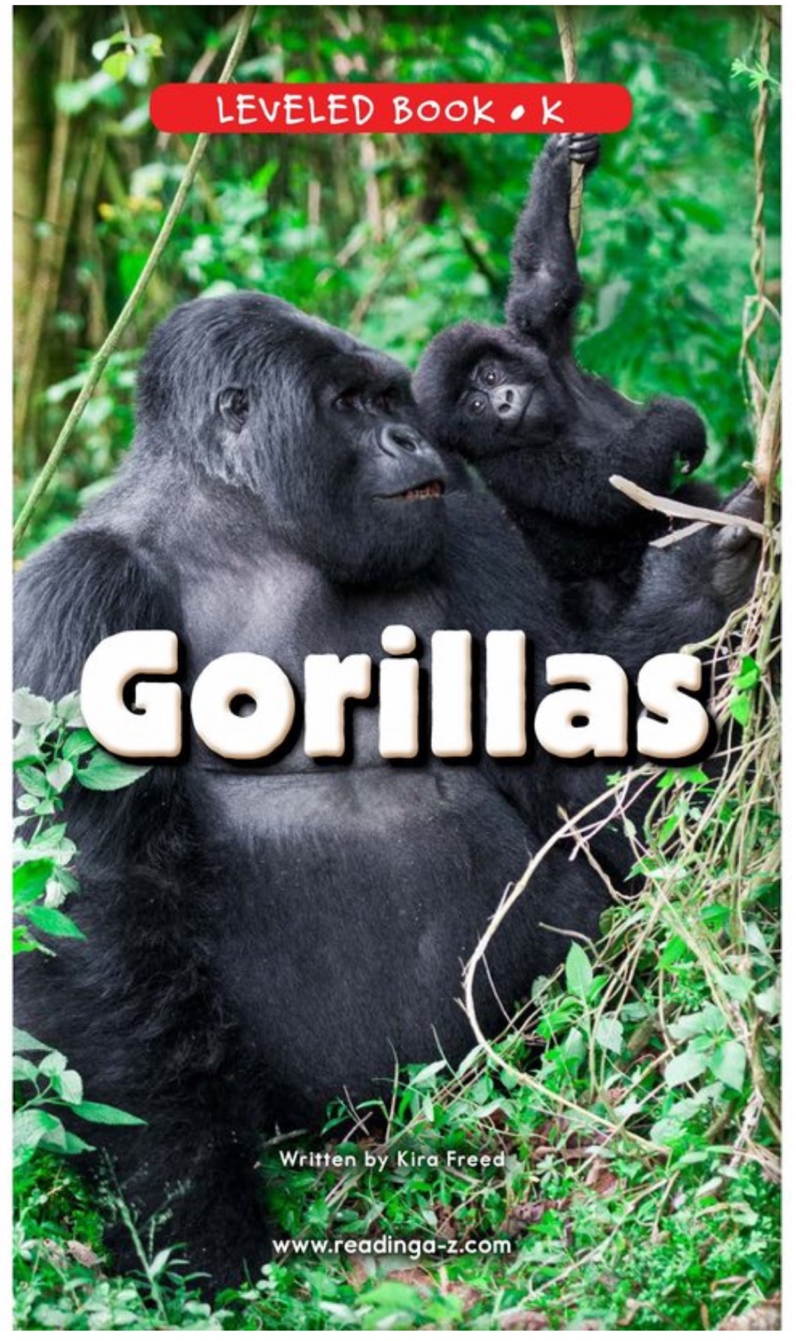 Gorillas (RAZ K)