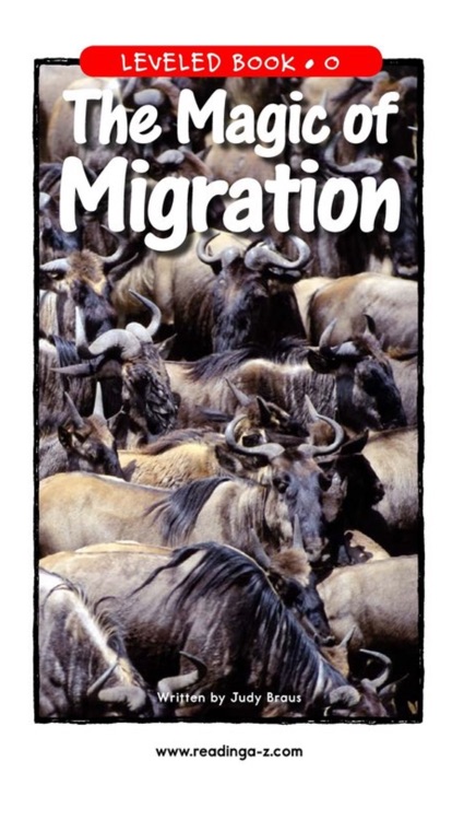 The Magic of Migration (RAZ O)