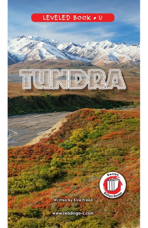 Tundra (RAZ U)