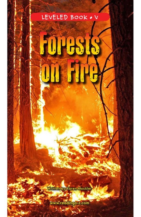 Forests on Fire (RAZ V)