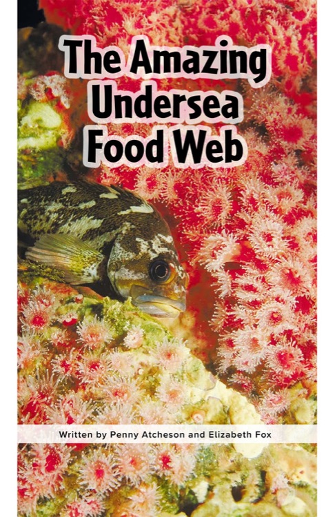 The Amazing Undersea Food Web (RAZ Z2)