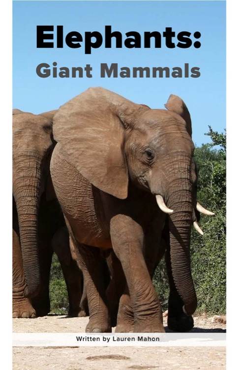 Elephants: Giant Mammals (RAZ Y)