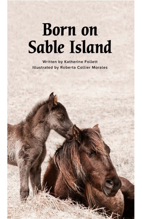 Born on Sable Island (RAZ Y)