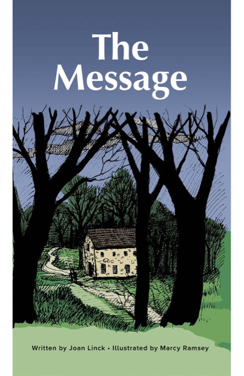 The Message (RAZ Z)