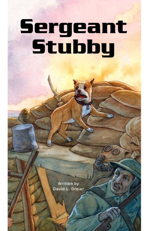 Sergeant Stubby (RAZ Z)