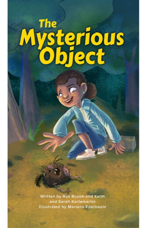 The Mysterious Object (RAZ Z1)