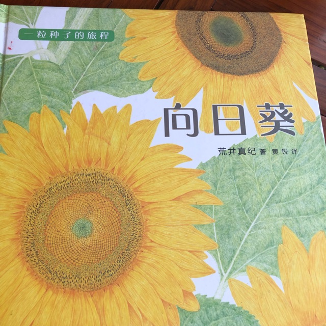 一粒種子的旅行