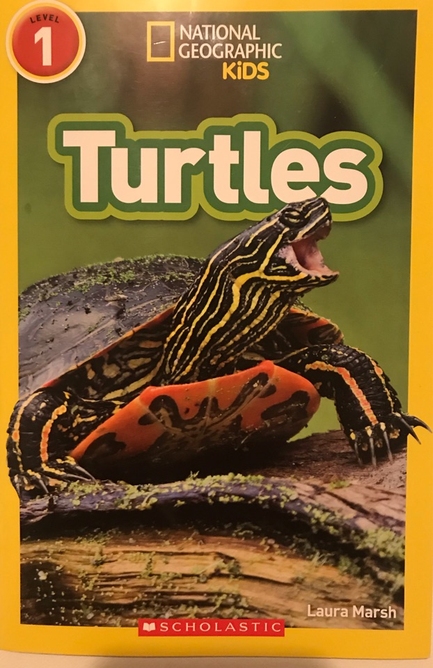 Turtles