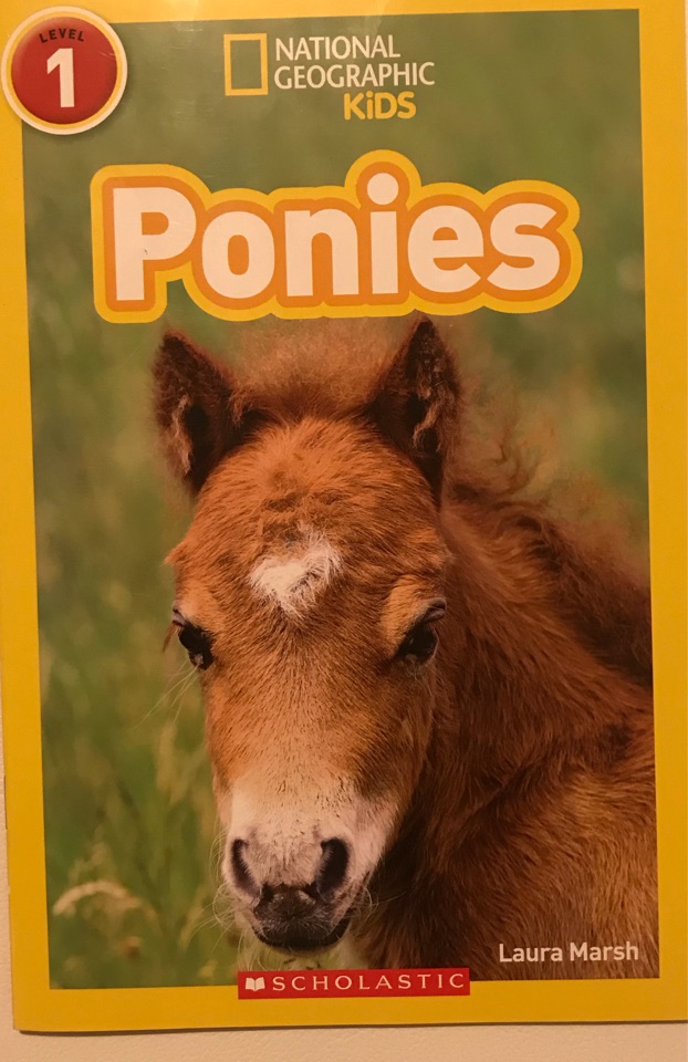 National Geographic Kids Ponies