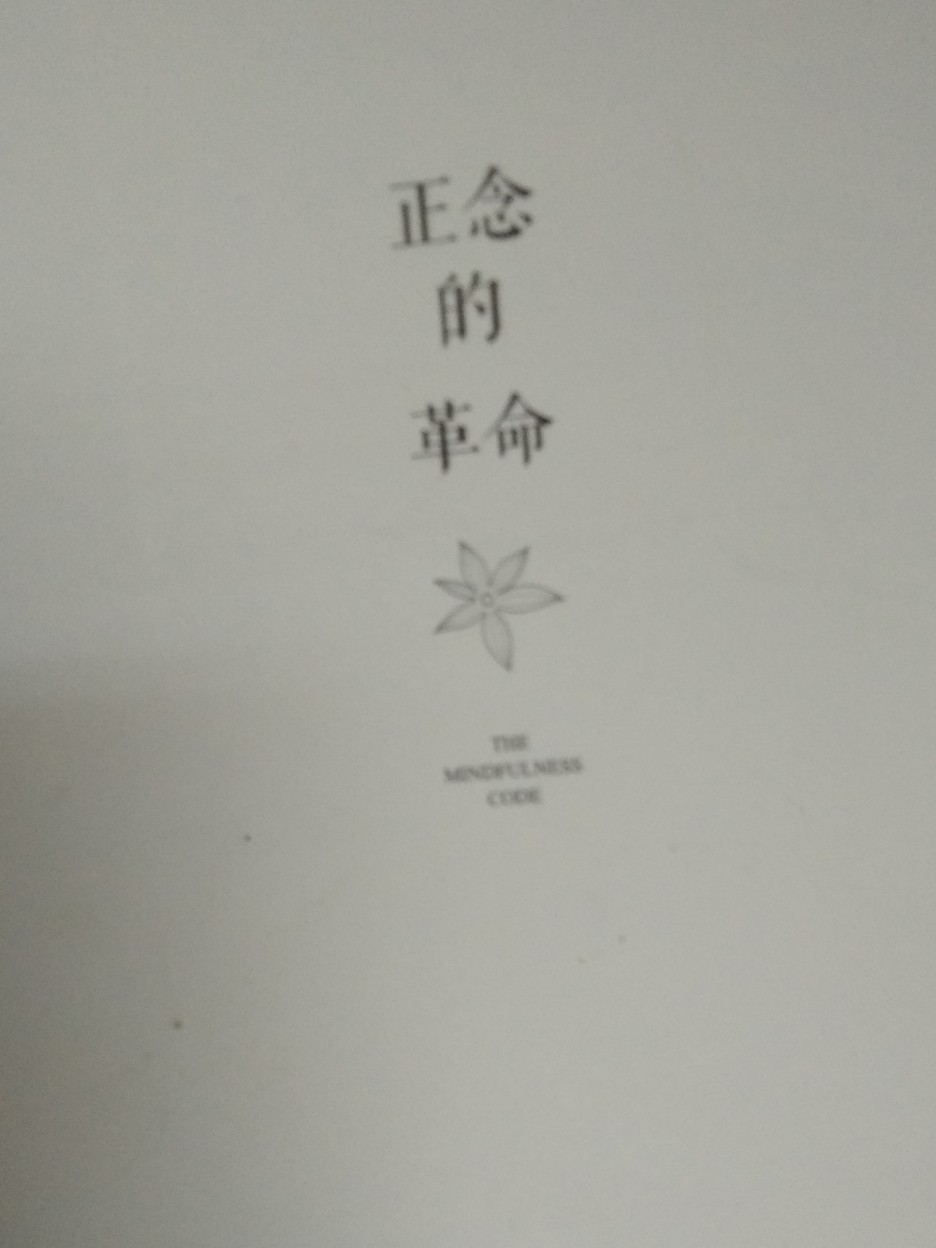 正念的革命