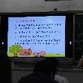 張諾羲