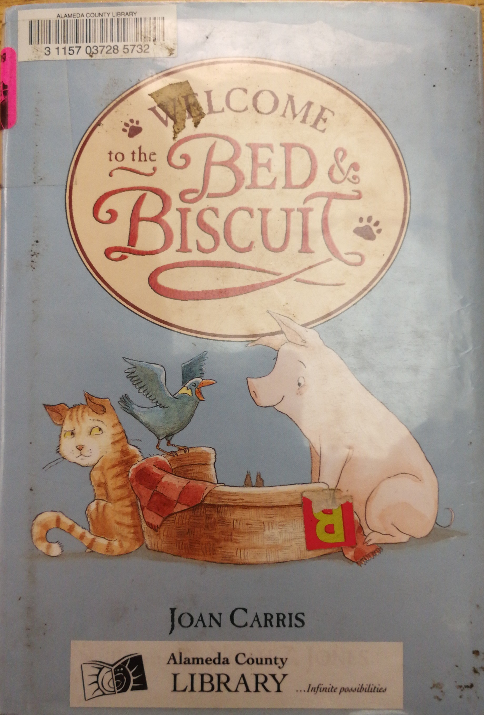 Welcome to the Bed Biscuit