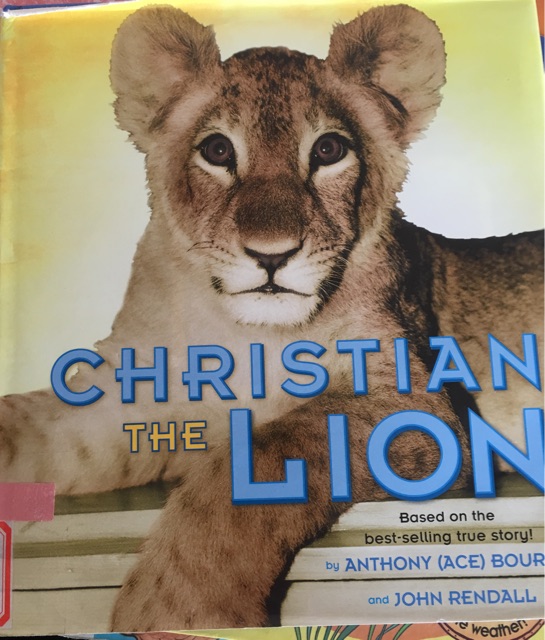 CHRISTIAN  The lion