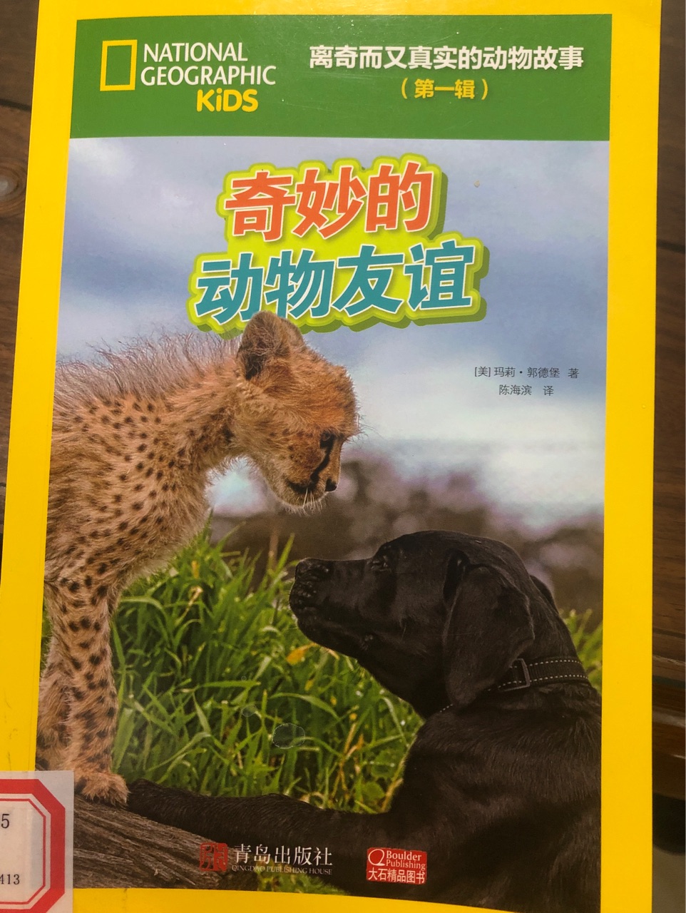 奇妙的動物友誼