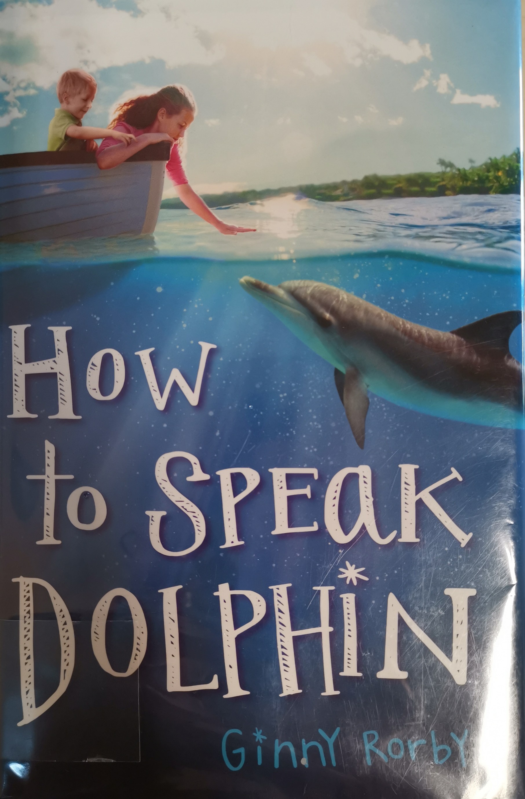 How to Speak Dolphin