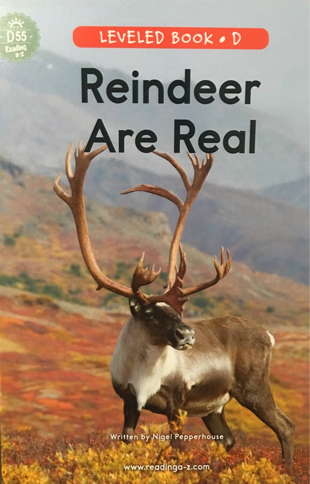 Reindeer Are Real