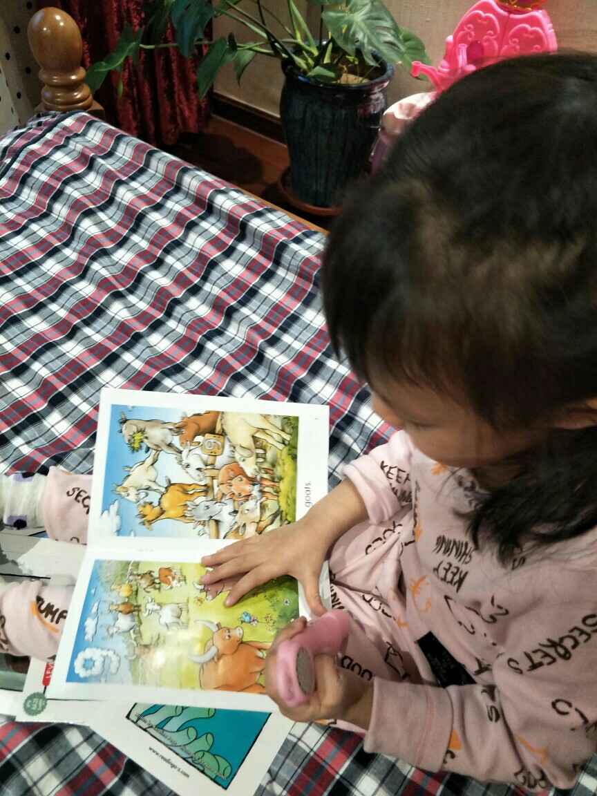Elsa??閱讀第八