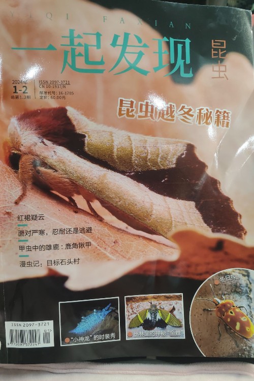 一起發(fā)現(xiàn)昆蟲(chóng)