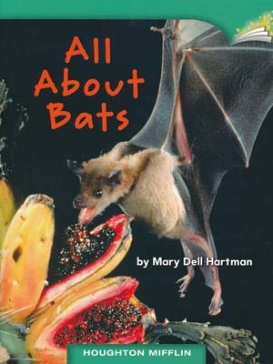 All About Bats