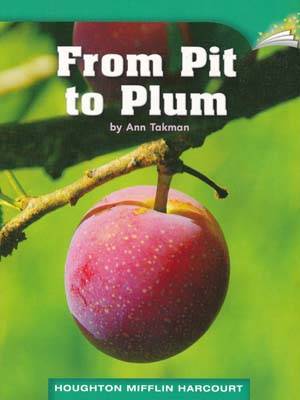 From Pit to Plum