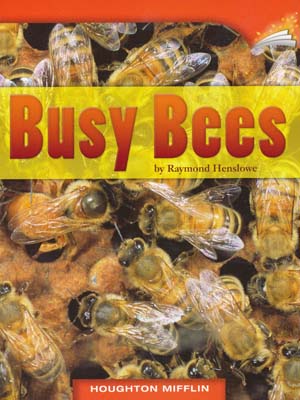 Busy Bees