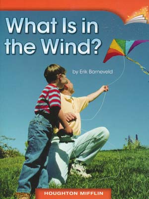 What Is in the Wind?