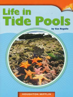 Life in Tide Pools