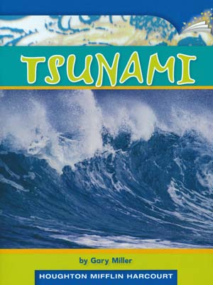 Tsunami