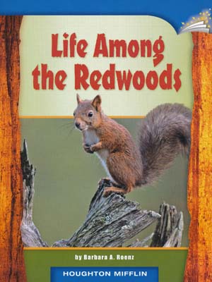 Life Among the Redwoods